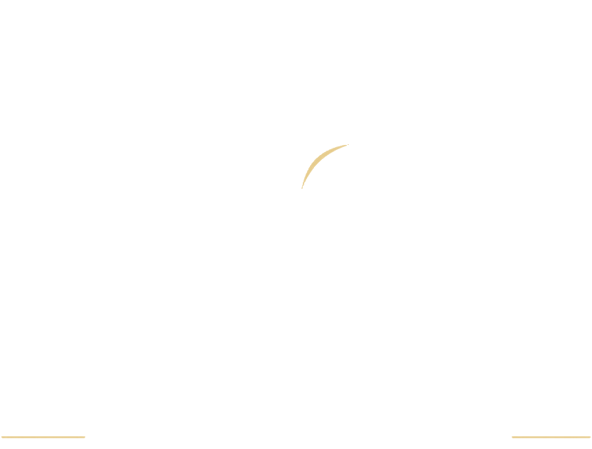 LifeBrite Insurance Group logo